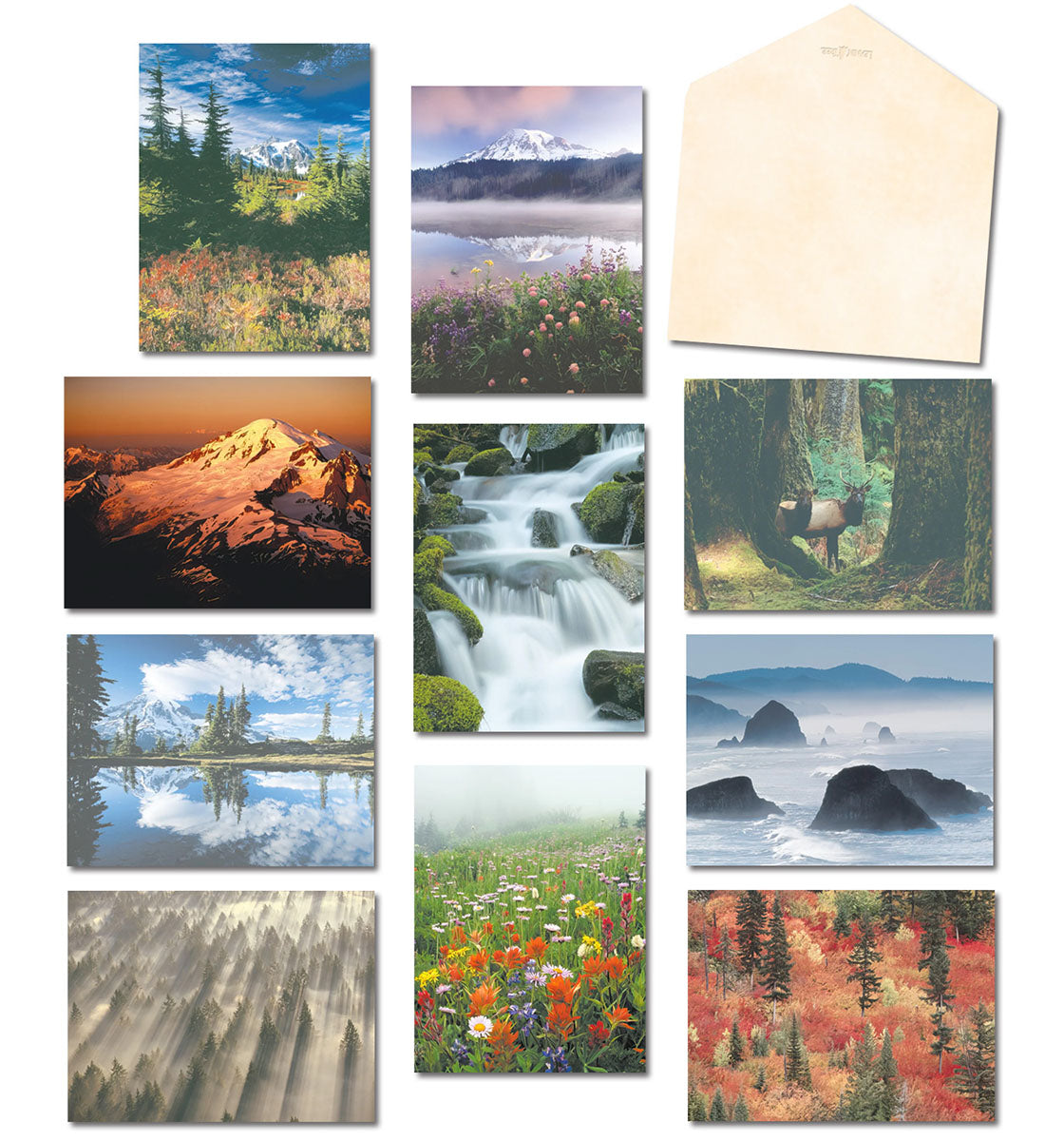A collage of ten diverse Pacific Northwest nature greeting card designs, including mountains, lakes, waterfalls, forests, and wildlife.