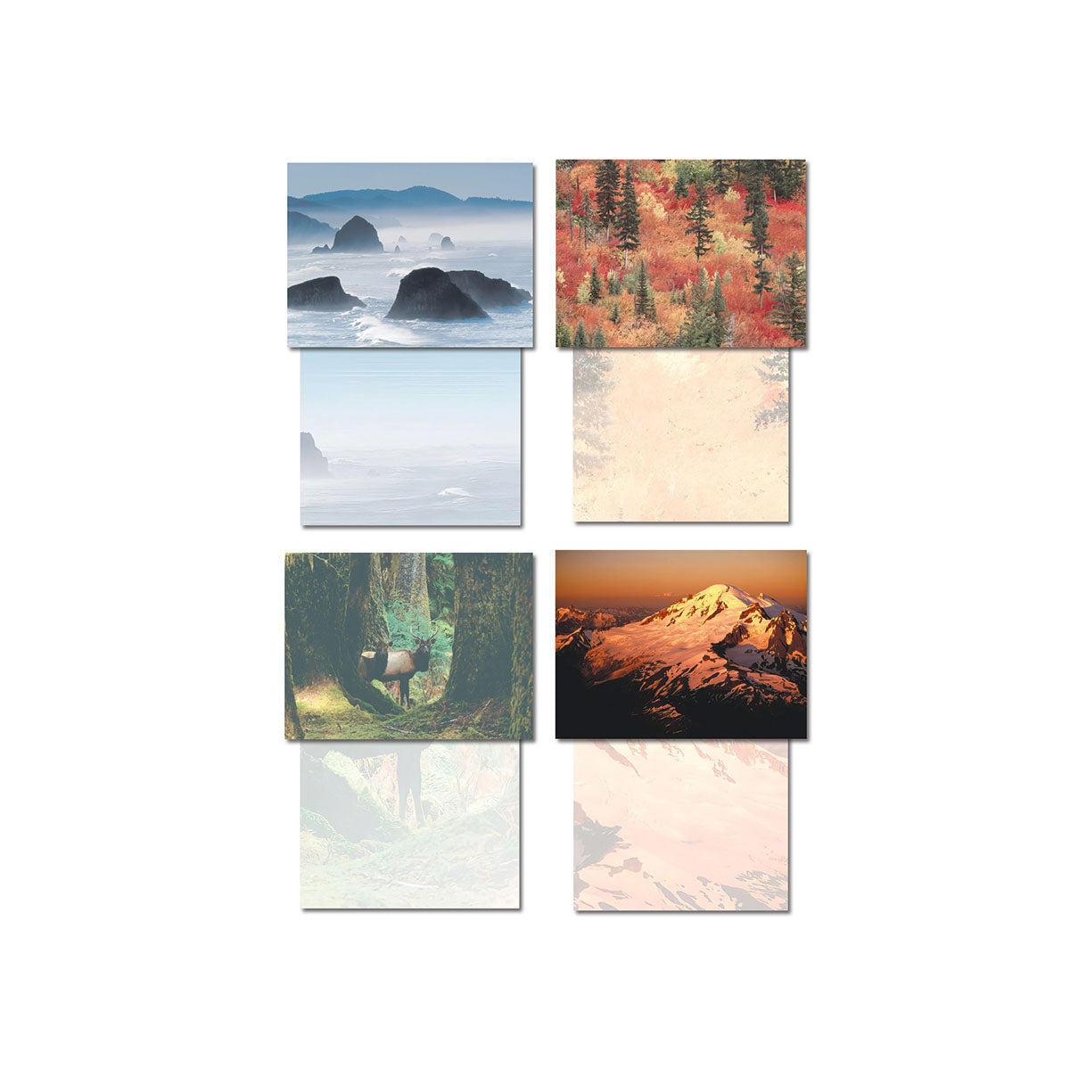 Four additional Pacific Northwest nature greeting cards displayed open, revealing their blank interiors. Designs include sea stacks in fog, a vibrant autumn forest, an elk in a lush forest, and a snowy mountain peak at sunset.