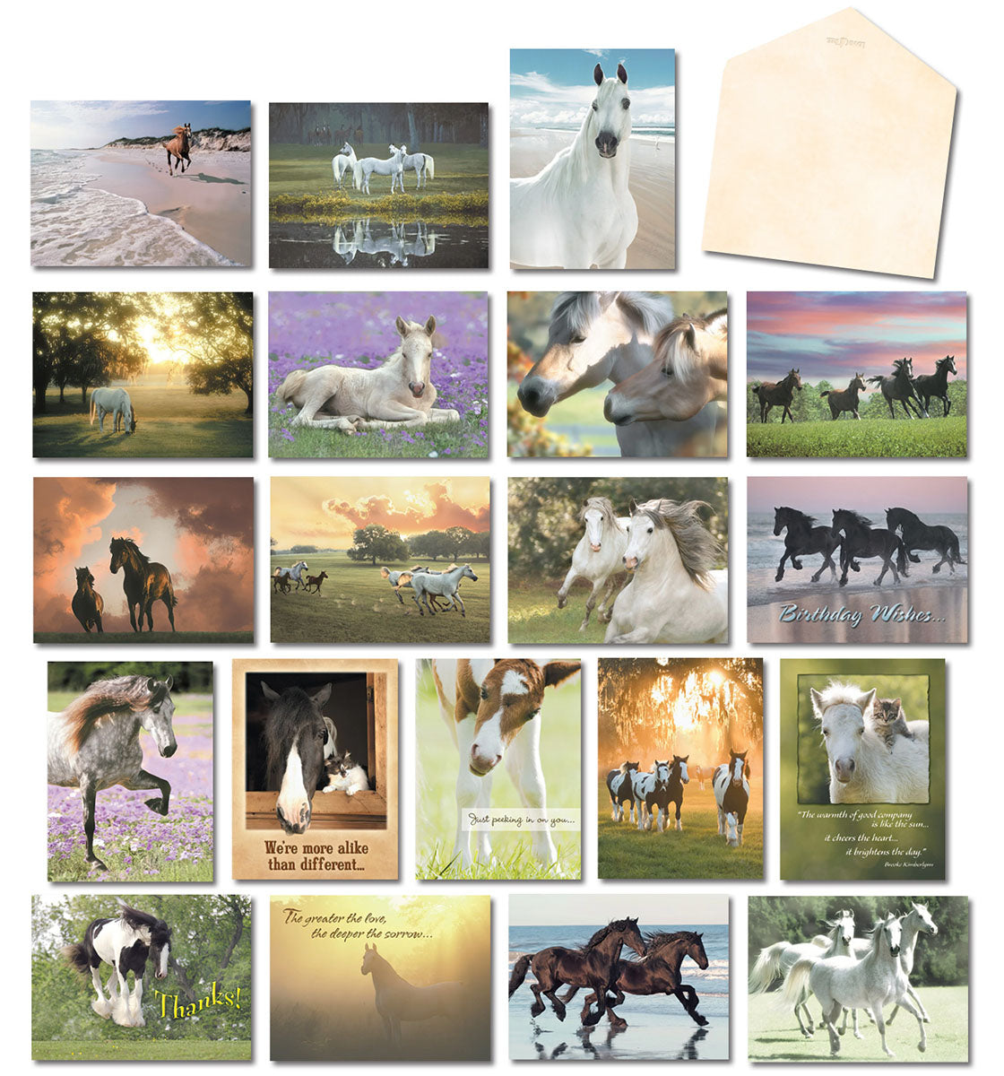 Collage of 20 diverse horse-themed greeting cards and a blank envelope, showcasing various horse scenes like running on a beach, in fields, and with foals. All cards are visible, highlighting the assortment's variety.