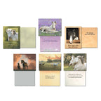 Six unique horse greeting cards displayed with their corresponding open inside messages. Designs include a white foal with a kitten, a dark horse with a kitten, a white foal lying in flowers, and a group of horses at sunset, highlighting diverse sentiments and imagery.