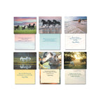 Arrangement of multiple horse greeting cards, showcasing different equine images on the front and corresponding internal messages such as 'Birthday Wishes' and other thoughtful sentiments, suitable for diverse occasions.