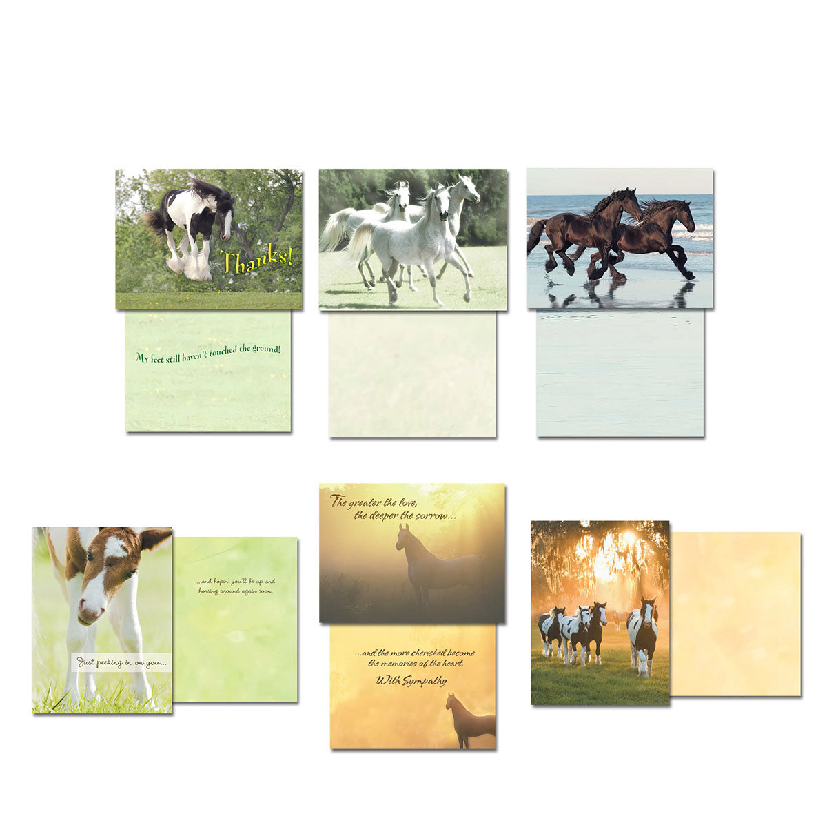Six more horse greeting cards displayed with their open inside messages. Designs feature a black and white pinto horse, white horses running, brown horses running on a beach, a brown calf, a single horse at sunset, and a group of pinto horses, illustrating thank you and sympathy themes among others.