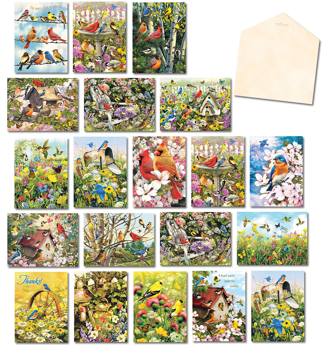 Assortment of 20 diverse greeting cards featuring vibrant bird and nature scenes, with an open blank envelope.