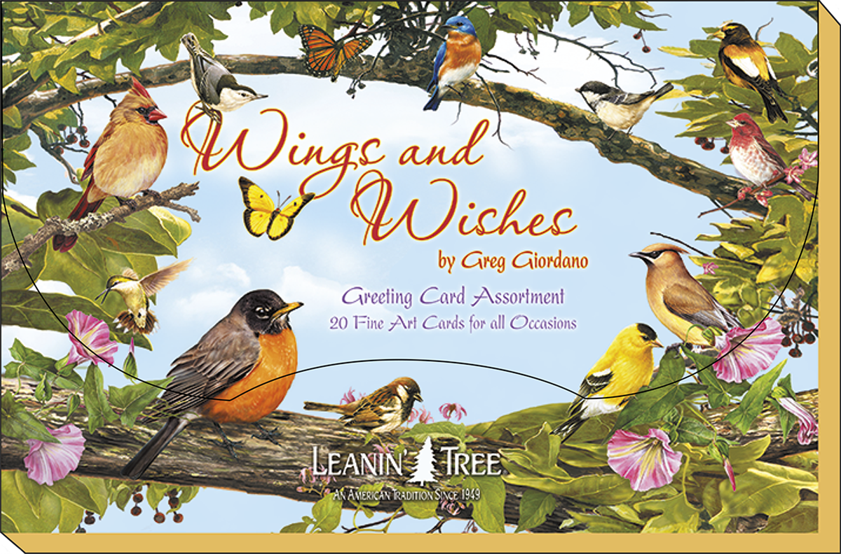 Close-up of 'Wings and Wishes by Greg Giordano' greeting card box lid, showing various colorful birds and butterflies on a branch.