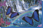 Close-up of 'On Butterfly Wings' greeting card assortment packaging, featuring two large blue morpho butterflies against a shimmering waterfall and rainbow, with Leanin' Tree branding.