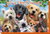 It's A Dog's World Greeting Card Assortment