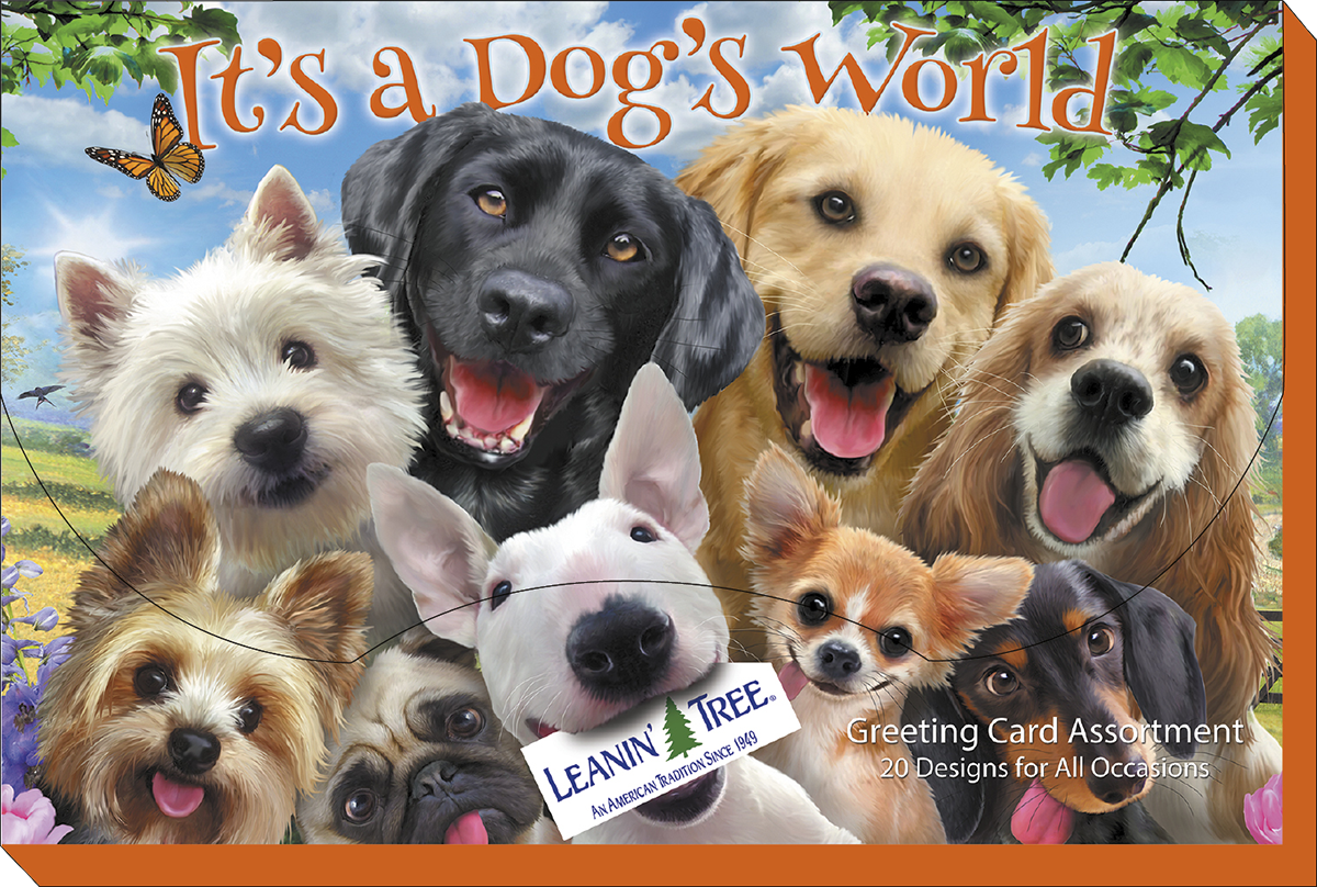 Front of Leanin' Tree's 'It's a Dog's World' greeting card assortment box, showcasing a joyful collage of various dog breeds including a golden retriever, labrador, terrier, pug, and chihuahua with a butterfly in a sunny landscape.