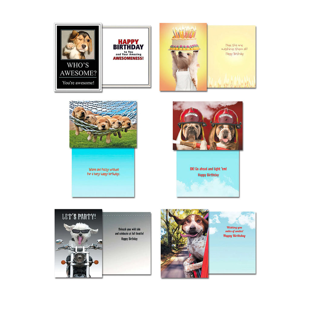 Assortment of four open dog greeting cards, showing front and inside messages. Includes birthday cards with a beagle, a cat, two bulldogs dressed as firefighters, and puppies relaxing in a hammock. Also a 'Let's Party!' card with a cool dog on a motorcycle.