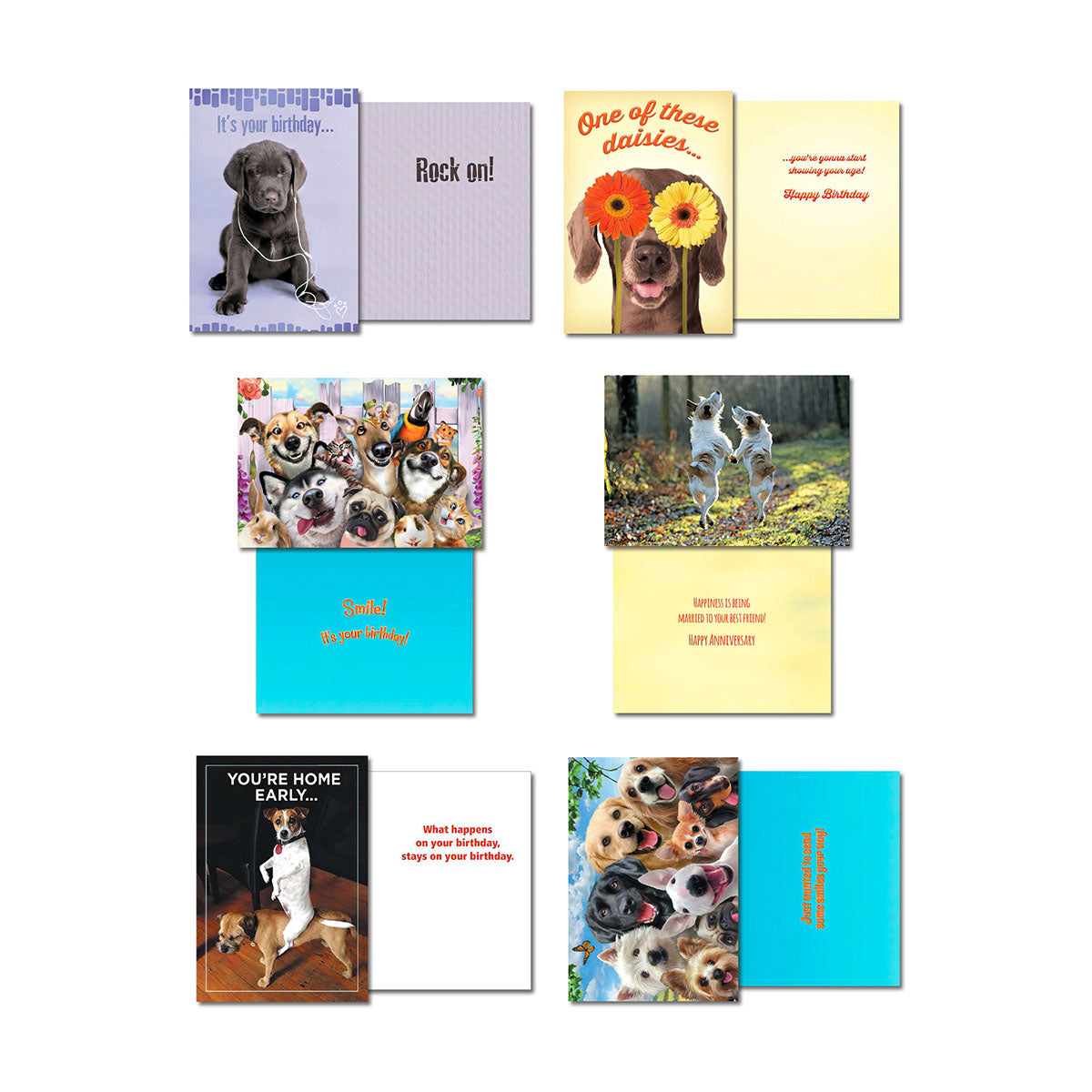 Four different open dog greeting cards showcasing their front and inside designs. Themes include a puppy with earbuds, a dog wearing daisy sunglasses, a group of diverse dog breeds, two playful dogs dancing, a surprised dog on a porch, and a stack of happy puppies.