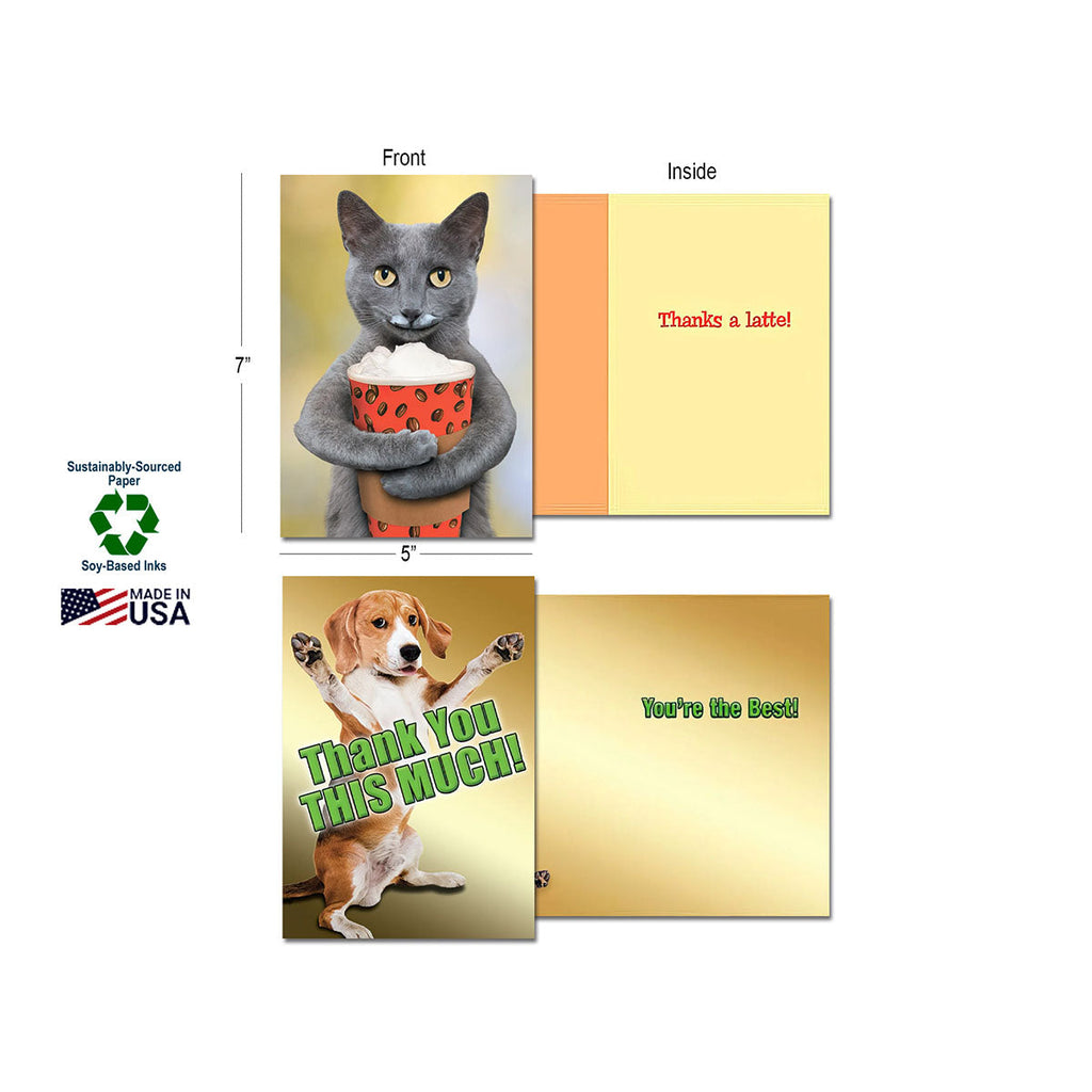 Two thank you cards shown with dimensions (7"x5") and eco-friendly features: sustainably-sourced paper, soy-based inks, and Made in USA. One card features a grey cat holding popcorn with 'Thanks a latte!' inside; the other shows a beagle dog with 'Thank You This Much!' and 'You're the Best!' inside.
