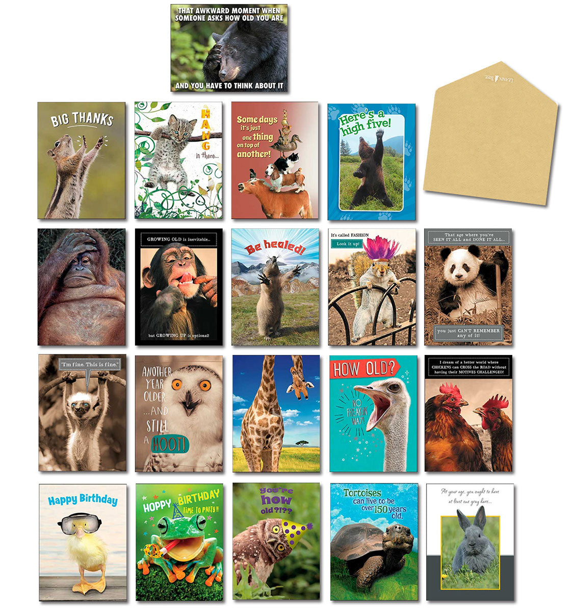 A grid of funny animal greeting cards with various humorous captions and an envelope on a white background, showcasing the assortment.