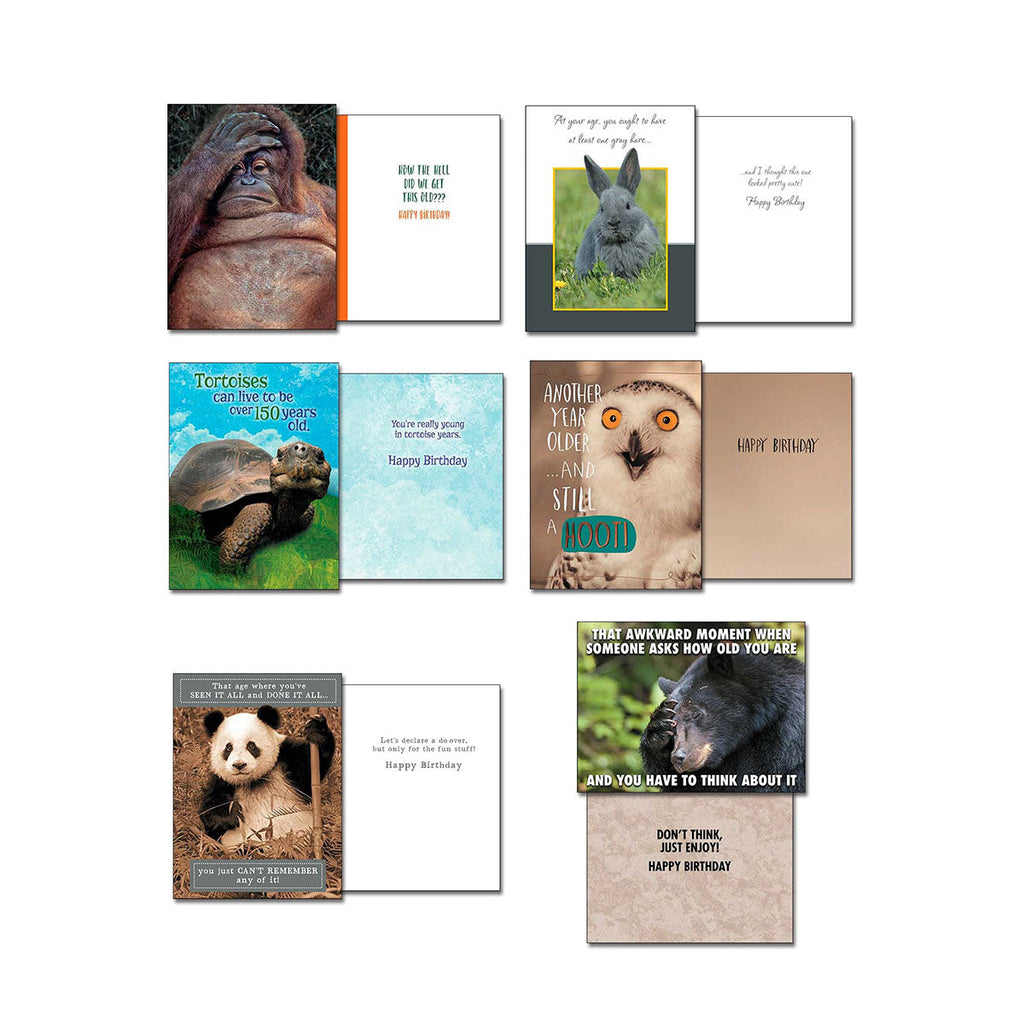 Four pairs of open humorous Leanin' Tree cards: an orangutan covering its eyes saying 'HOW THE HELL DID WE GET THIS OLD??', a rabbit with 'At your age you ought to have at least one gray hare...', a tortoise with 'Tortoises can live to be over 150 years old', a snow owl with 'ANOTHER YEAR OLDER...AND STILL A HOOT', a panda with 'THAT AWKWARD MOMENT WHEN SOMEONE ASKS HOW OLD YOU ARE', and a black bear covering its eyes with 'DON'T THINK JUST ENJOY!'