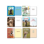 Diverse funny greeting cards for thank you, encouragement, and general occasions, showing fronts and insides, featuring a bear, cat, sloth, prairie dog, stacked animals, and a groundhog.