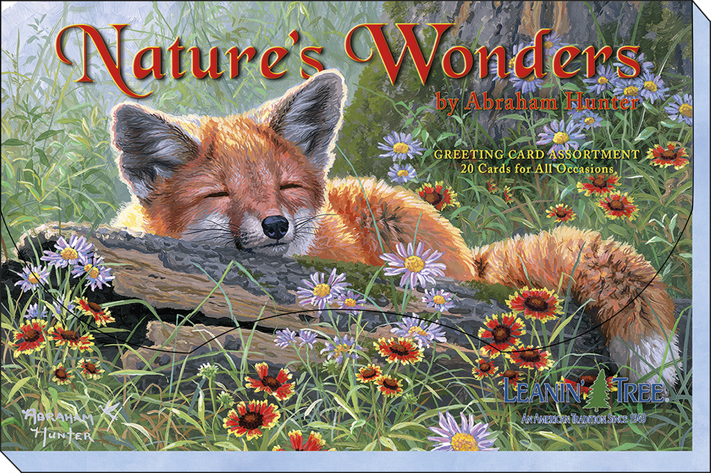 Nature's Wonders greeting card assortment box cover by Abraham Hunter, showcasing a peaceful sleeping fox among vibrant wildflowers.