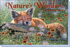 Nature's Wonders greeting card assortment box cover by Abraham Hunter, showcasing a peaceful sleeping fox among vibrant wildflowers.