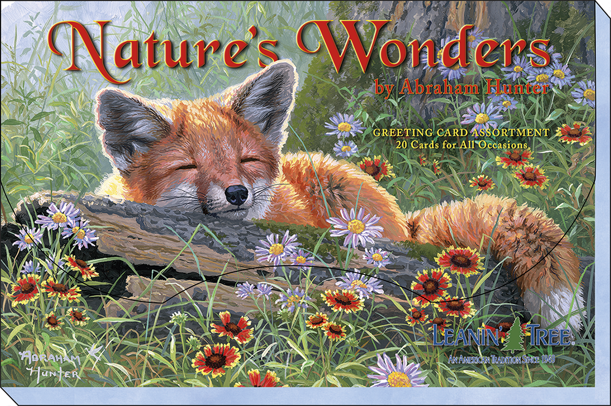 Nature's Wonders greeting card assortment box cover by Abraham Hunter, showcasing a peaceful sleeping fox among vibrant wildflowers.