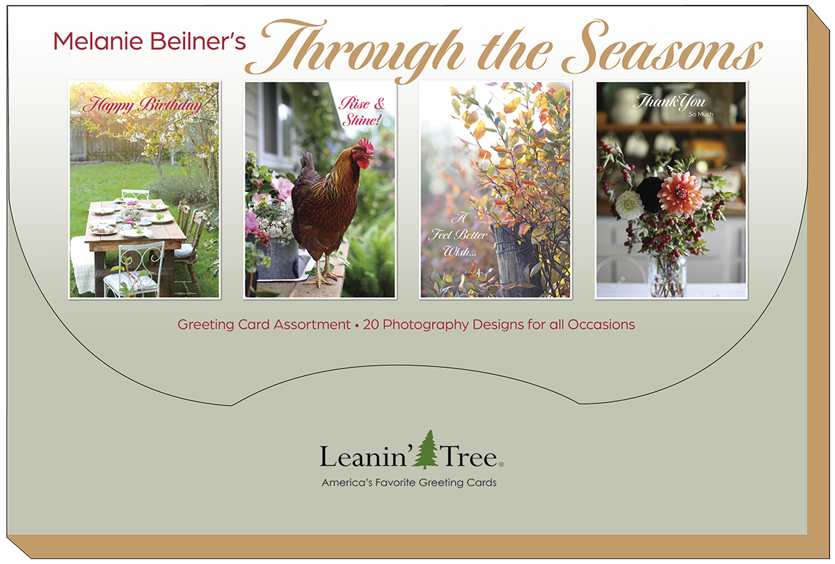 Marketing image for Melanie Beilner's 'Through the Seasons' greeting card assortment by Leanin' Tree, displaying four sample cards: 'Happy Birthday' with a garden table, 'Rise & Shine!' with a rooster, 'A Feel Better Wish' with autumn leaves, and 'Thank You' with a dahlia bouquet, highlighting the brand and 20 photography designs.