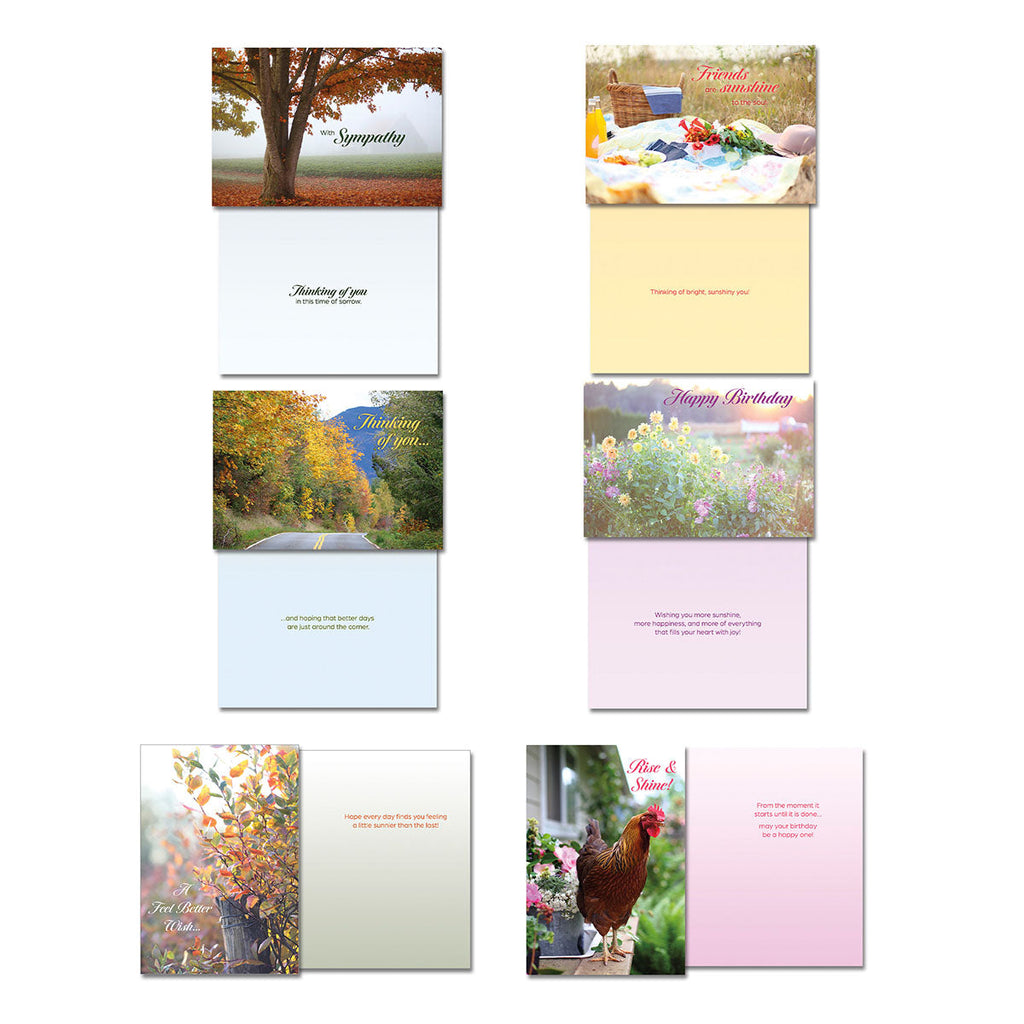 Assorted Leanin' Tree greeting cards with front and interior views, including 'Sympathy' with a misty autumn tree, 'Thinking of You' with a scenic road, 'Friends are Sunshine' with a picnic, 'Happy Birthday' with wildflowers, and 'A Feel Better Wish' with fall foliage, showcasing diverse photographic themes and heartfelt messages.