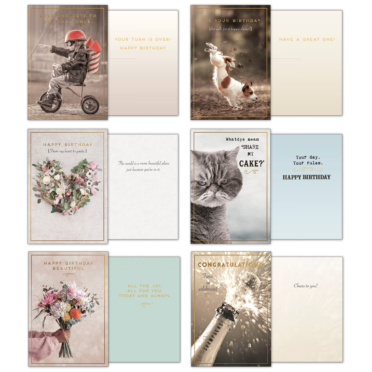 Collection of 6 birthday and celebration Leanin' Tree greeting cards, showing unique photographic fronts and open blank insides, including designs with a child on a tricycle, a jumping dog, a floral heart, a grumpy cat, a bouquet, and champagne.