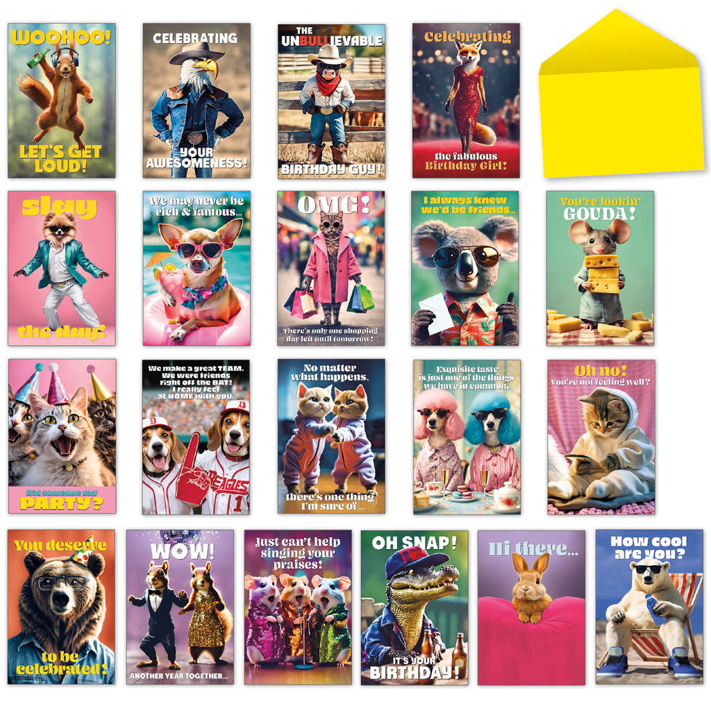 Assortment of 20 funny greeting cards with anthropomorphic animals; includes birthday, thank you, get well, friendship, and encouragement themes. Features squirrels, cats, dogs, foxes, koalas, bears, and more in humorous attire.
