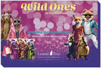 Leanin' Tree 'Wild Ones' greeting card assortment box, showcasing 20 unique animal-themed designs for all occasions. Features a squirrel, fox, cat, and other anthropomorphic animals.