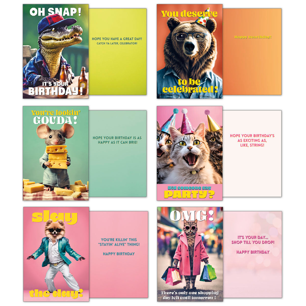 Six funny animal birthday cards open, showing fronts and insides: alligator, bear, mouse, party cats, chihuahua, and a shopping cat with humorous birthday wishes.