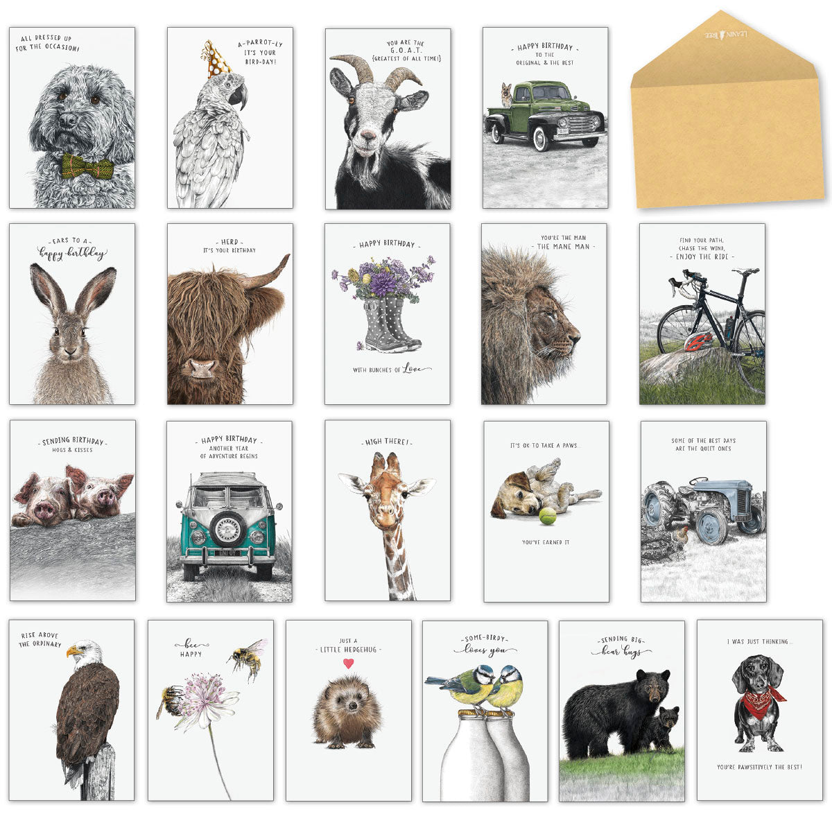A wide shot showing all 20 diverse greeting cards from the 'Life in Pencil' assortment by Shaun Vickers, featuring hand-drawn animals like a dog, parrot, goat, rabbit, highland cow, lion, pigs, giraffe, eagle, birds, bear, hedgehog, and a dachshund, along with nature and vehicle designs, plus a craft paper envelope. Ideal for all occasions.
