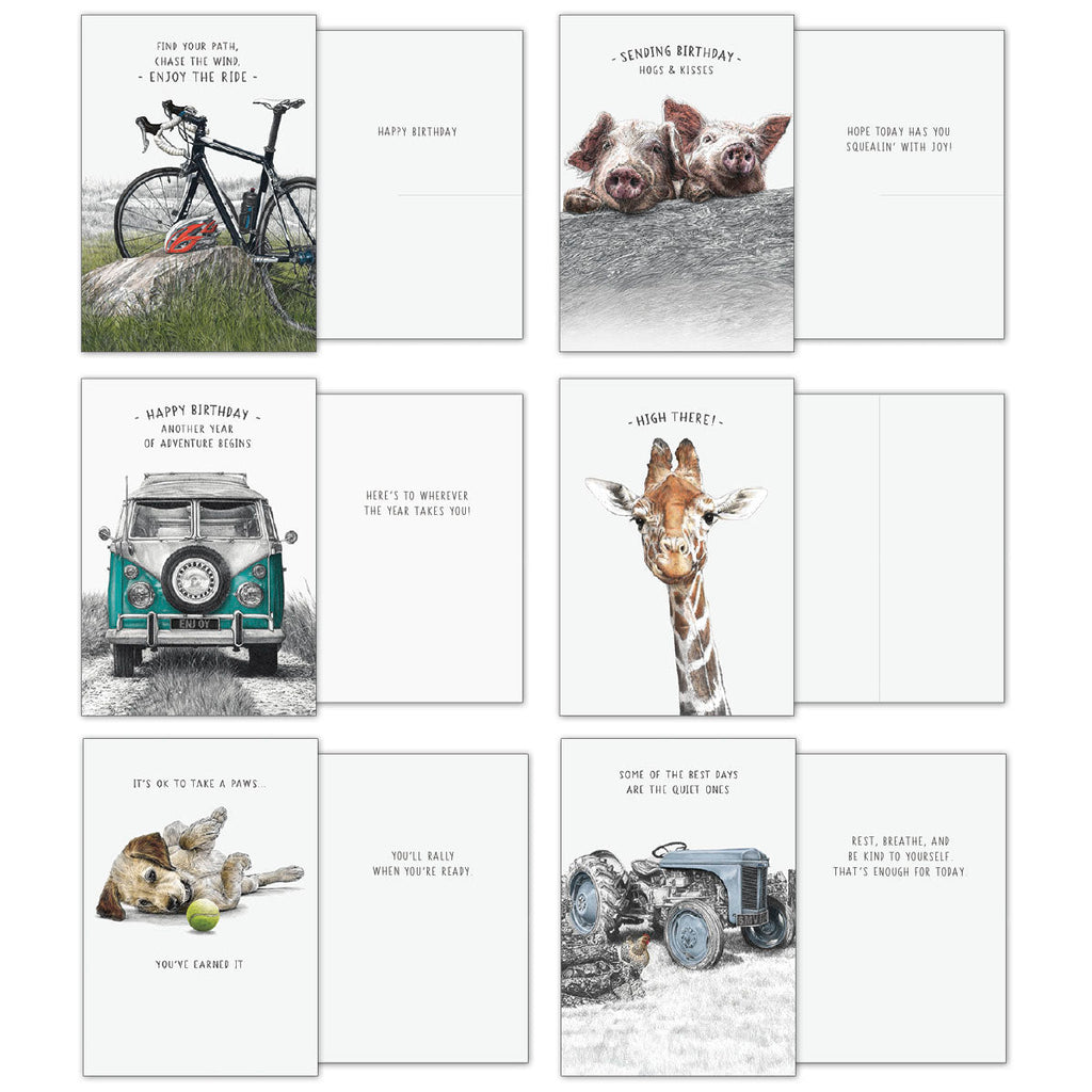 Another set of eight open greeting cards from the assortment: a bicycle, two pigs, a vintage teal camper van, a giraffe, a sleeping dog with a tennis ball, and an old tractor. Cards feature birthday, encouragement, and thank you messages.