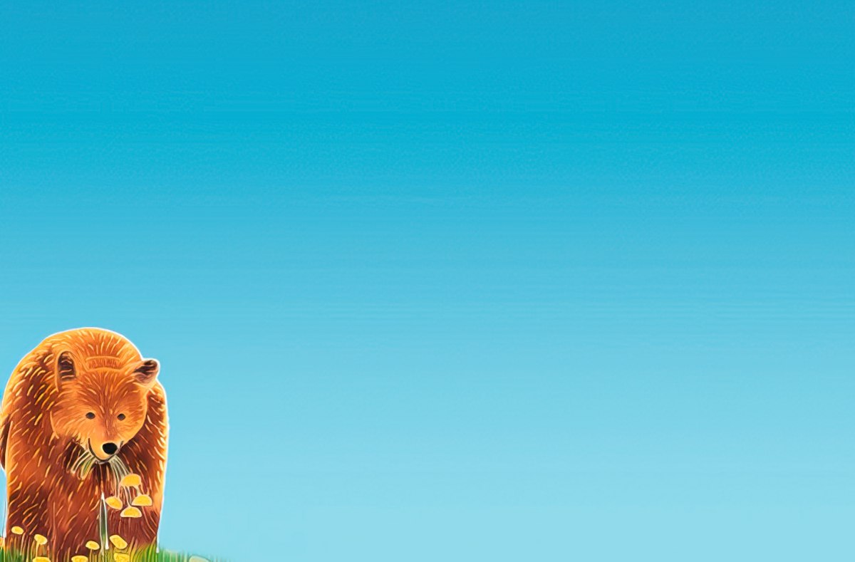 Inside of a note card with a brown bear in a meadow against a plain light blue background.