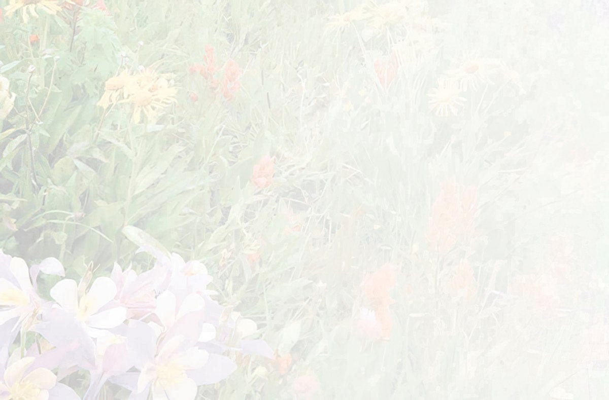 Faded, textured inside of a greeting card with a subtle floral background design, complementing the vivid mountain wildflower theme.