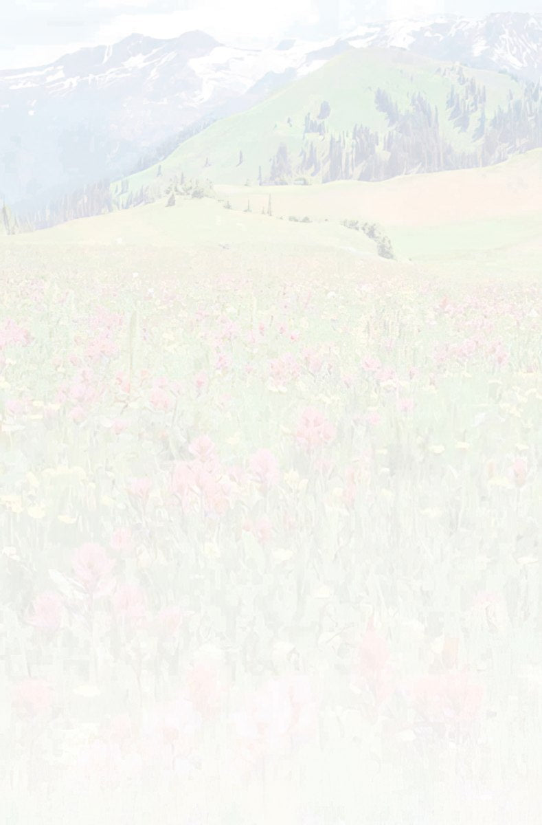 Faded, textured inside of a greeting card with a subtle floral background design, mirroring the vibrant meadow front.