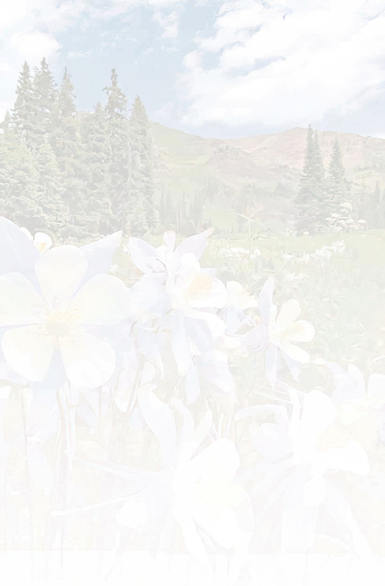 Faded, textured inside of a greeting card with a subtle floral background design, complementing the Columbine flower front.