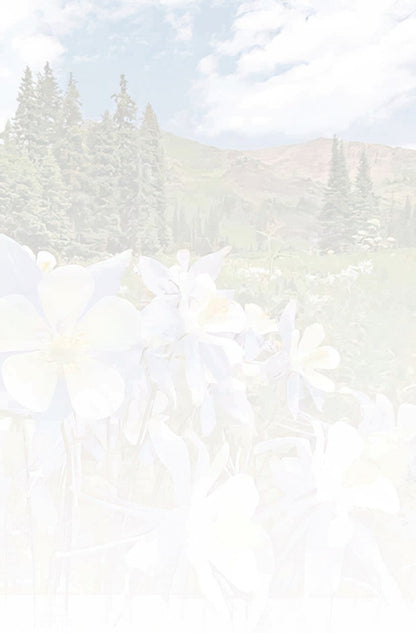 Faded, textured inside of a greeting card with a subtle floral background design, complementing the Columbine flower front.