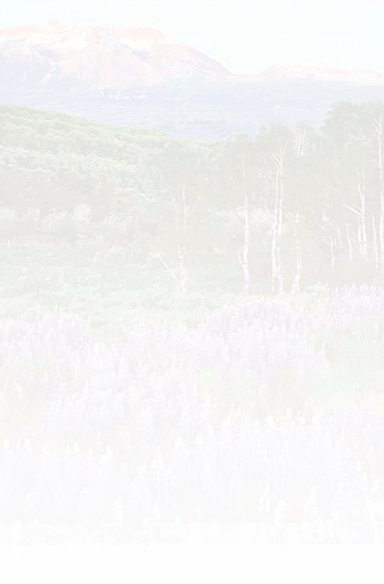 Faded, textured inside of a greeting card with a subtle floral background design, echoing the purple lupine field.