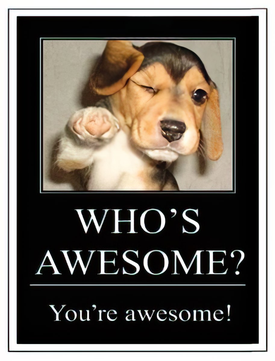 Front of a fun greeting card featuring an adorable beagle puppy winking and pointing, with the encouraging text 'WHO'S AWESOME? You're awesome!' in white lettering on a black background. Perfect for a friend.
