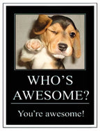 Front of a fun greeting card featuring an adorable beagle puppy winking and pointing, with the encouraging text 'WHO'S AWESOME? You're awesome!' in white lettering on a black background. Perfect for a friend.
