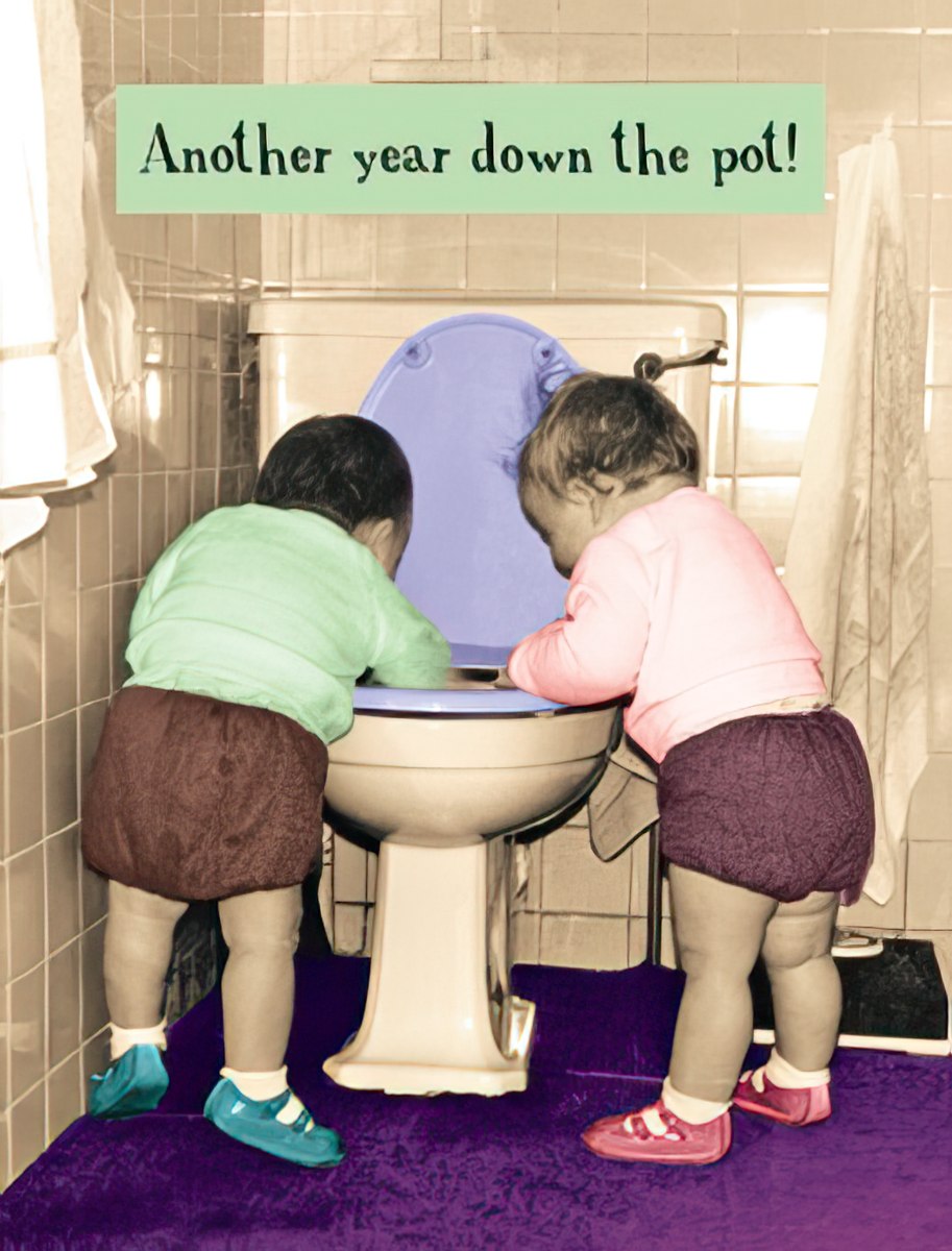 Funny birthday greeting card showing two toddlers looking into a toilet bowl with text 'Another year down the pot!', perfect for friends with a sense of humor.