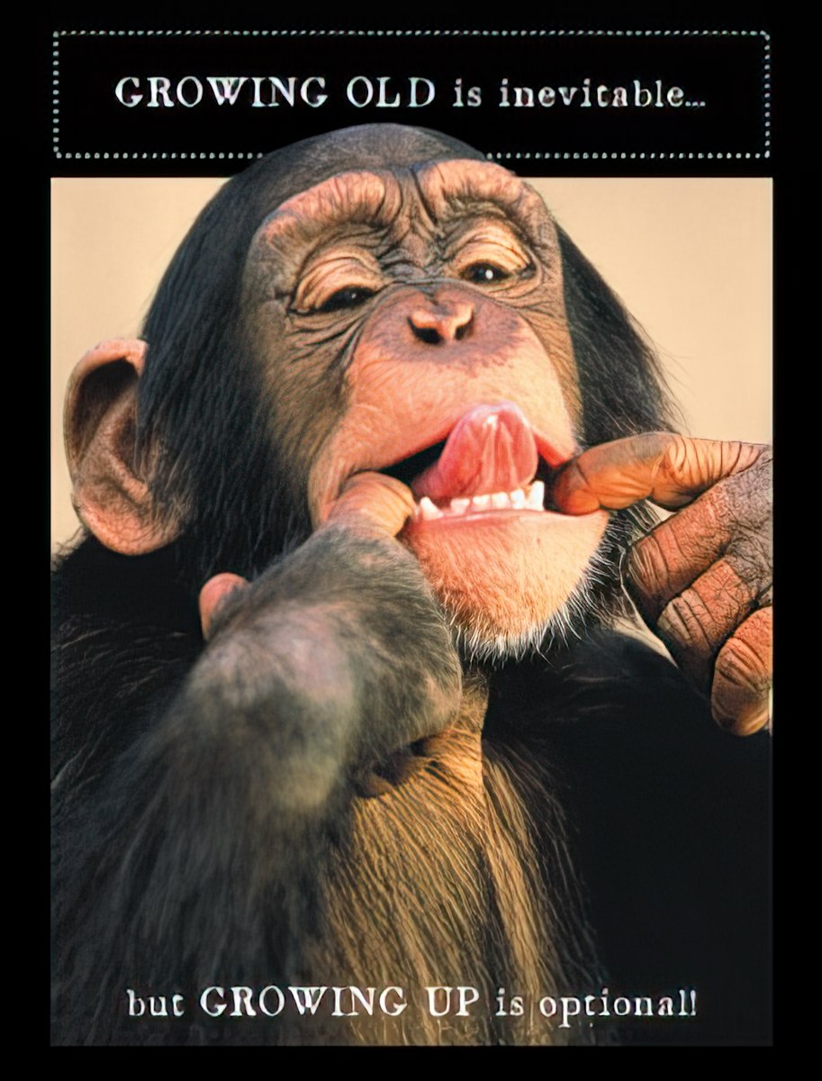 Humorous birthday greeting card featuring a chimpanzee making a silly face, sticking out its tongue and pulling its cheeks. Text reads: "GROWING OLD is inevitable... but GROWING UP is optional!" Perfect for a funny birthday message.