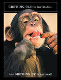 Humorous birthday greeting card featuring a chimpanzee making a silly face, sticking out its tongue and pulling its cheeks. Text reads: "GROWING OLD is inevitable... but GROWING UP is optional!" Perfect for a funny birthday message.