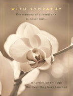 Front of a sympathy greeting card featuring a soft white orchid bloom against a warm sepia background, with gold text 'WITH SYMPATHY' and a heartfelt message about lasting memories.