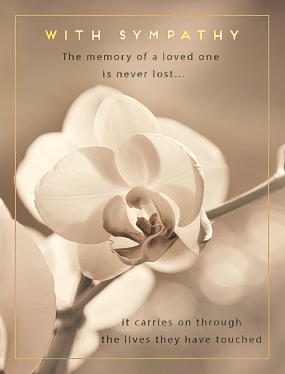 Front of a sympathy greeting card featuring a soft white orchid bloom against a warm sepia background, with gold text 'WITH SYMPATHY' and a heartfelt message about lasting memories.