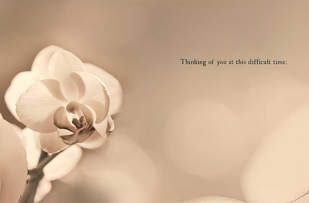 Interior of a sympathy greeting card displaying a delicate white orchid on a warm, blurred background, with a message 'Thinking of you at this difficult time' for solace.