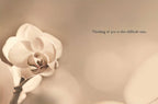 Interior of a sympathy greeting card displaying a delicate white orchid on a warm, blurred background, with a message 'Thinking of you at this difficult time' for solace.