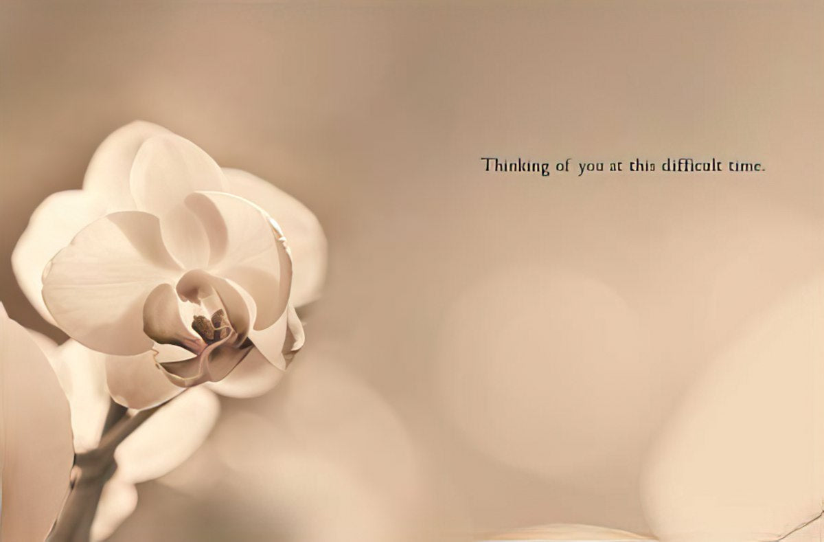 Interior of a sympathy greeting card displaying a delicate white orchid on a warm, blurred background, with a message 'Thinking of you at this difficult time' for solace.