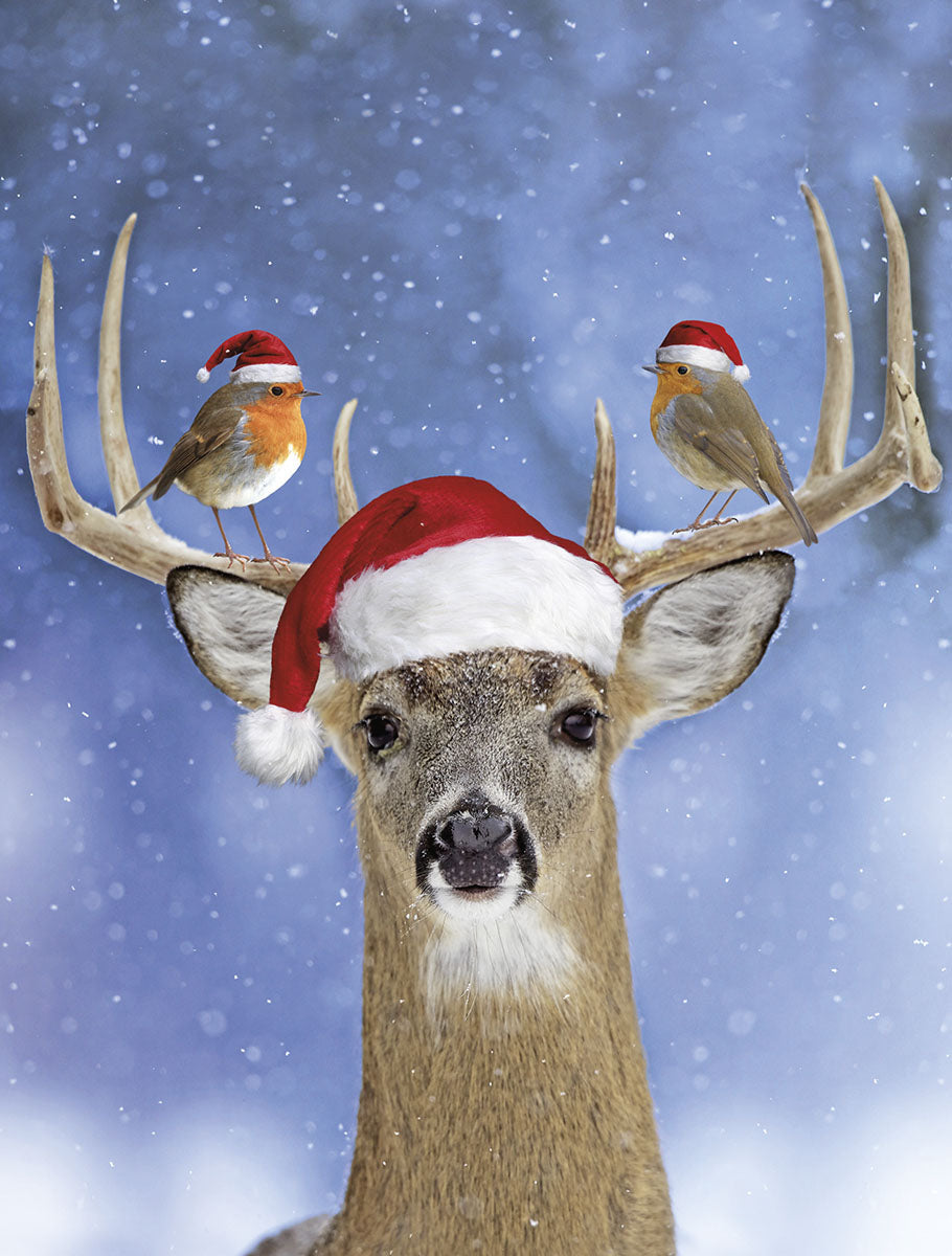 Whitetail deer with Santa hat and two robins on antlers in snowy winter scene, festive holiday greeting card cover.