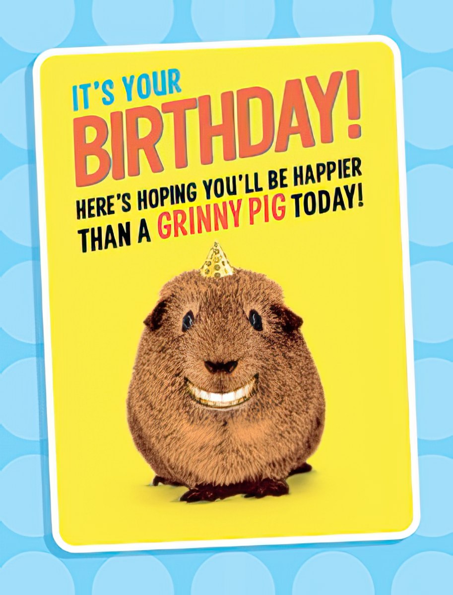 Here's hoping you'll be happier than a Grinny Pig
