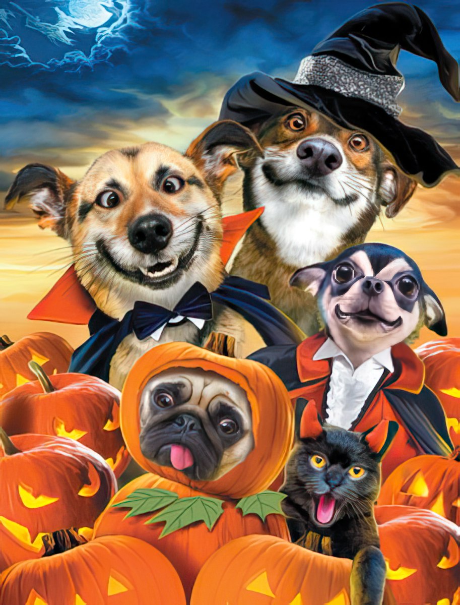 Adorable animal costume greeting card set featuring five smiling pets – two dogs in vampire capes and a witch hat, a chihuahua in a suit, a pug dressed as a pumpkin, and a black cat – surrounded by glowing carved jack-o'-lanterns under a moonlit, cloudy sky. Perfect for sending festive wishes.