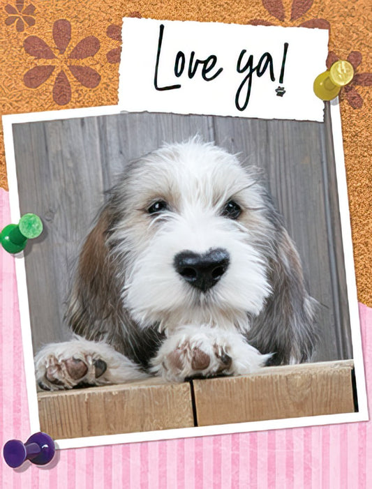 Cute fluffy puppy with big eyes peeking over a wooden fence, featured on a 'Love ya!' greeting card with colorful pushpins.