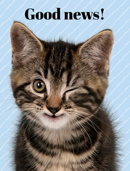 Close-up of a cute tabby kitten winking and smiling, with 'Good news!' text on a light blue striped background.