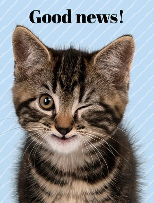 Close-up of a cute tabby kitten winking and smiling, with 'Good news!' text on a light blue striped background.